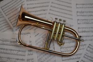 trompette, musicien, musique, partition, trompettiste